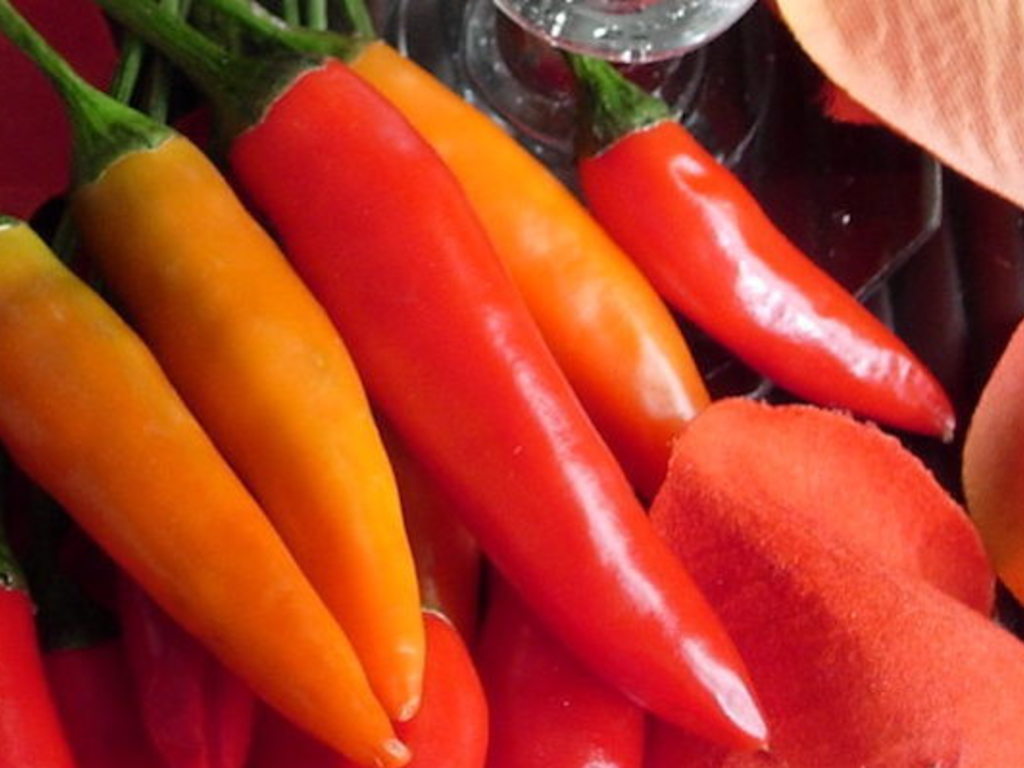 Accendono la passione