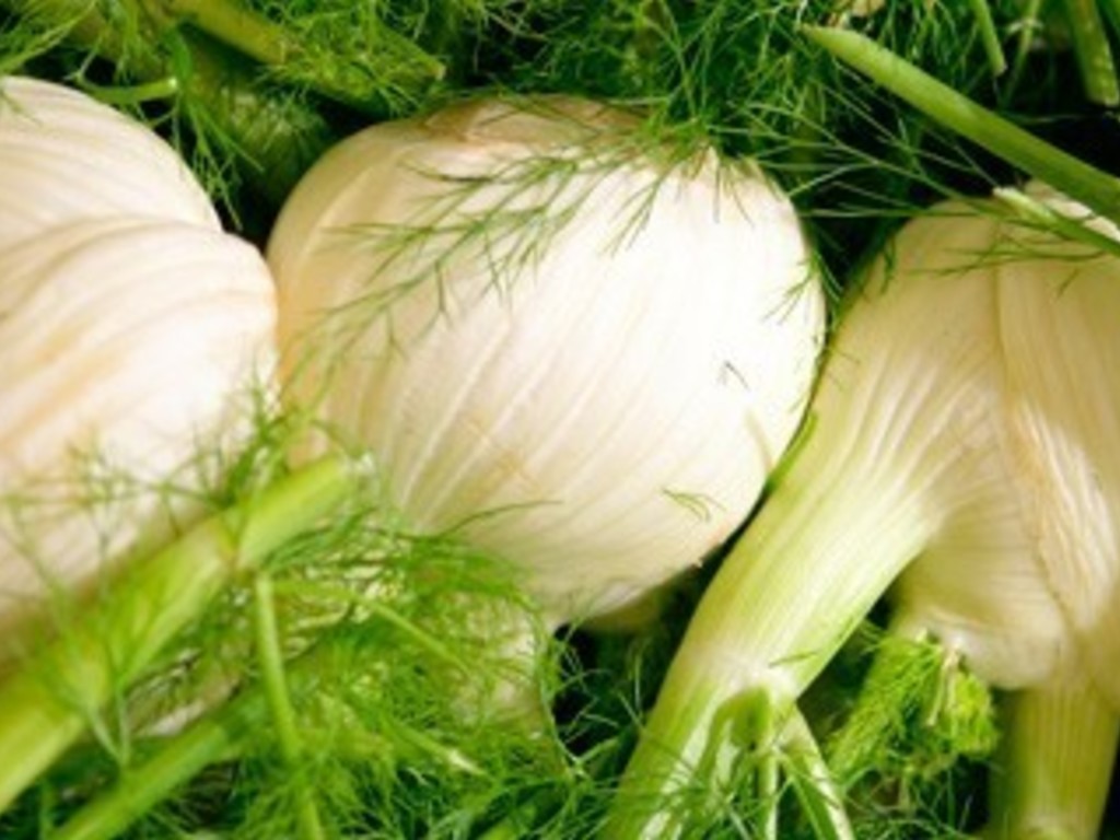 Ricette coi finocchi