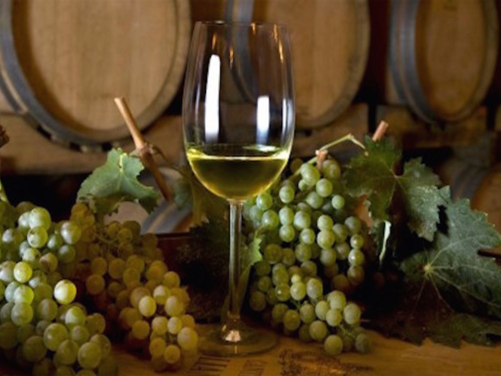 i vini sardi