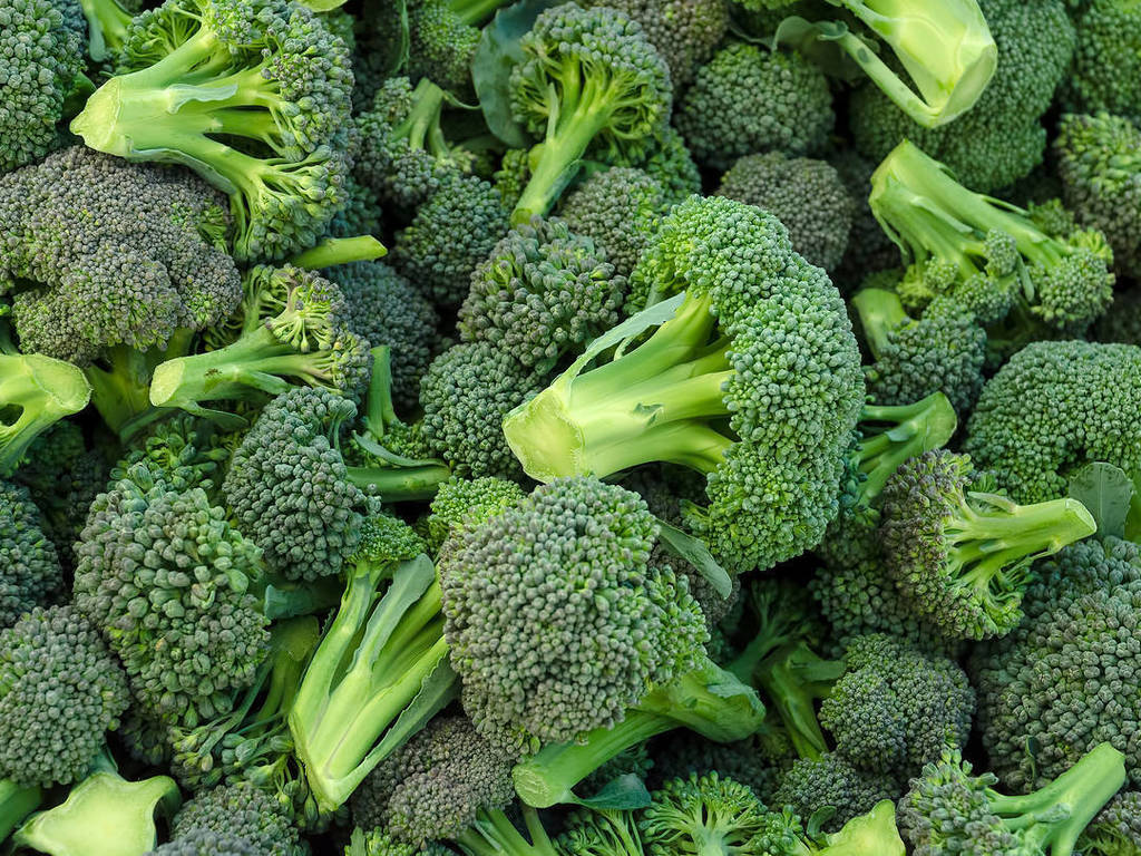 Ricette coi broccoli