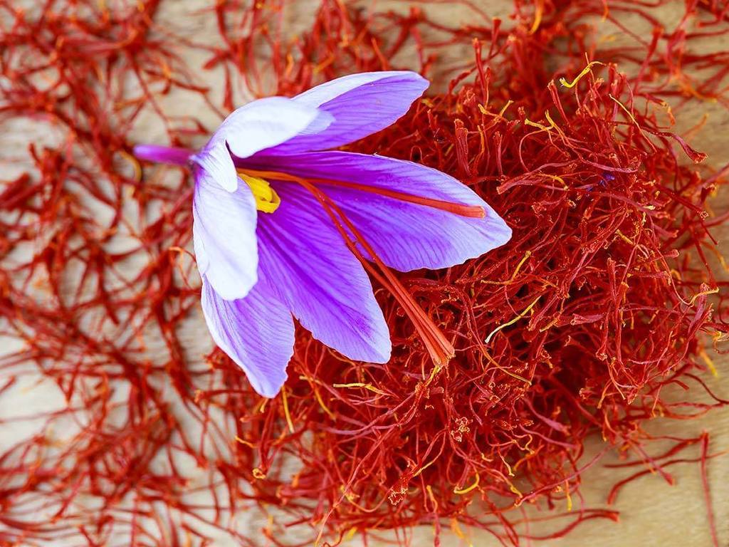 Ricette con lo zafferano