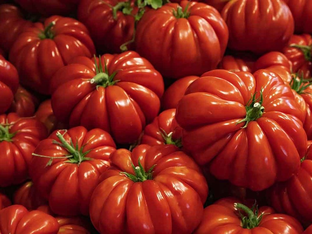 Ricette con i pomodori