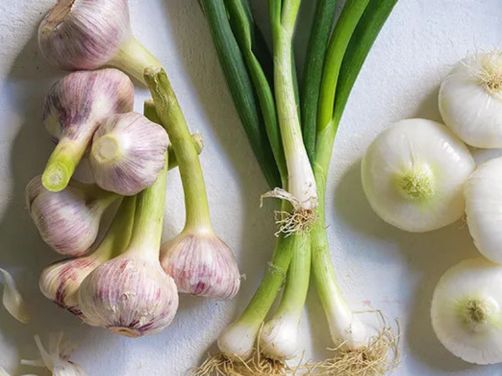 Prebiotici: i top 5 alimenti che presentano il più alto contenuto 