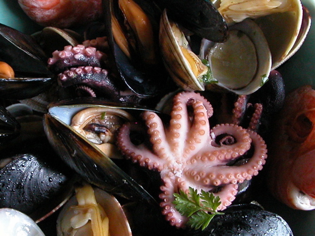 Ricette di insalate di mare